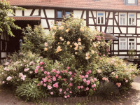 GENUSS-COACHING "MA(H)L WIEDER INNEHALTEN"